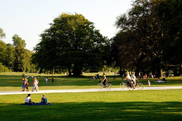 Image of a park.