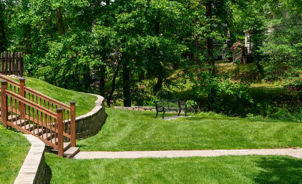 Image of a park with a bench in the background.