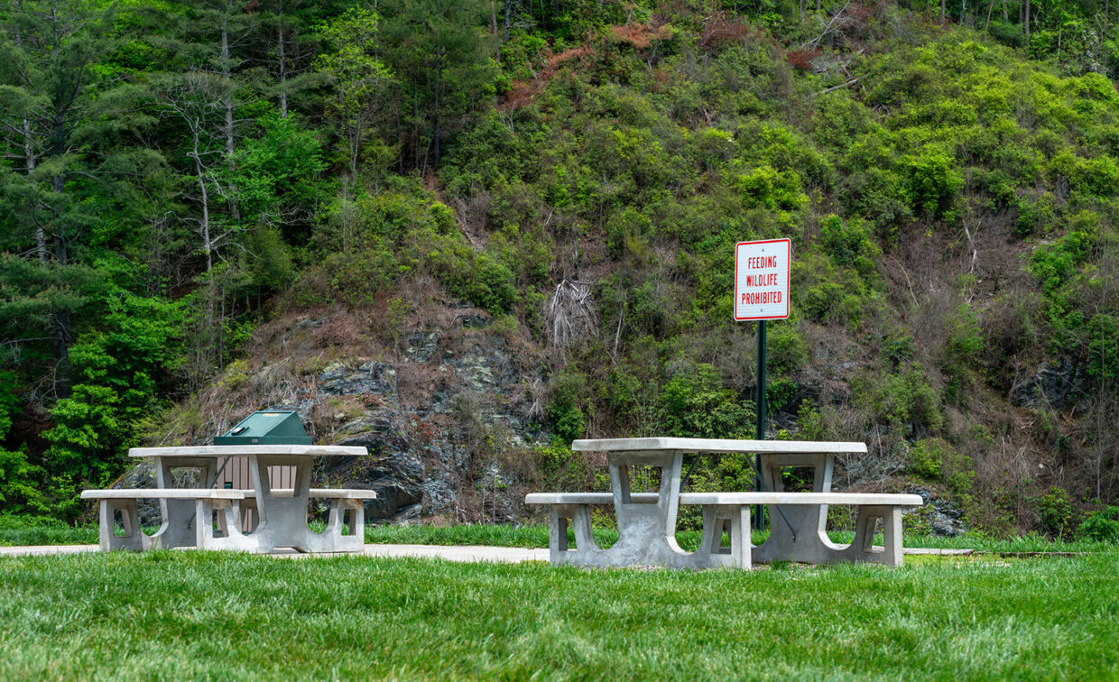 Wimpy Mill Picnic Area.