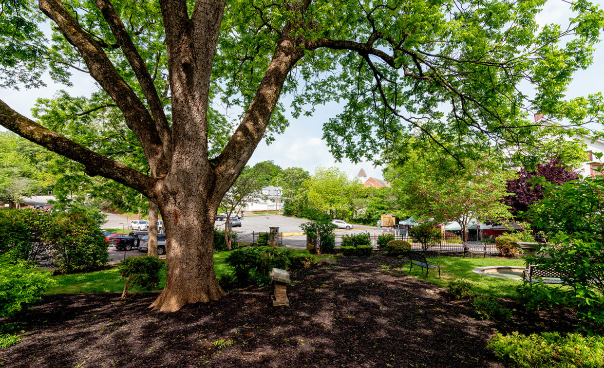 A large tree provides shade at Conner Memorial Garden