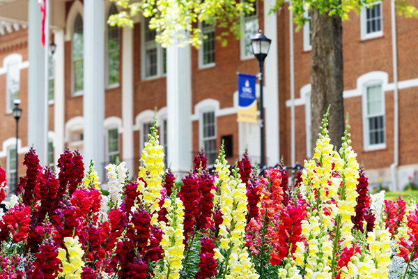 Flowers outside of UNG