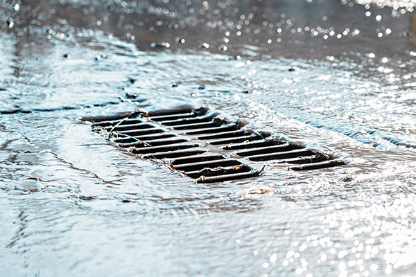 The grate of the storm sewer after the rain. The water drains into the storm drain. Sun glare, defocused background