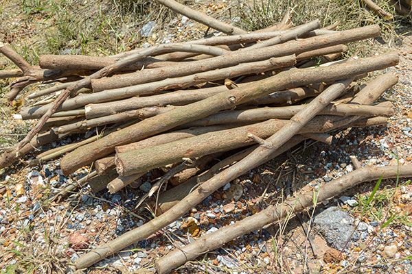 Stacked tree limbs for pickup